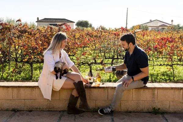 Guests enjoying a private wine tour in a vineyard near Málaga