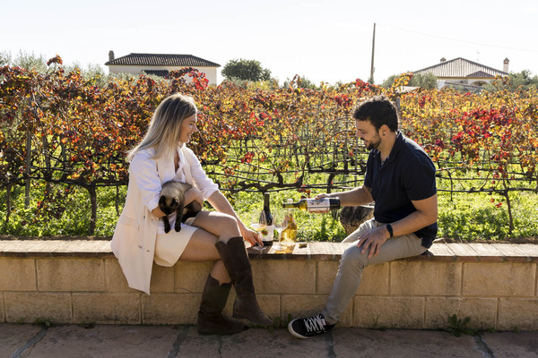 Guests enjoying a private wine tour moment in the vineyard