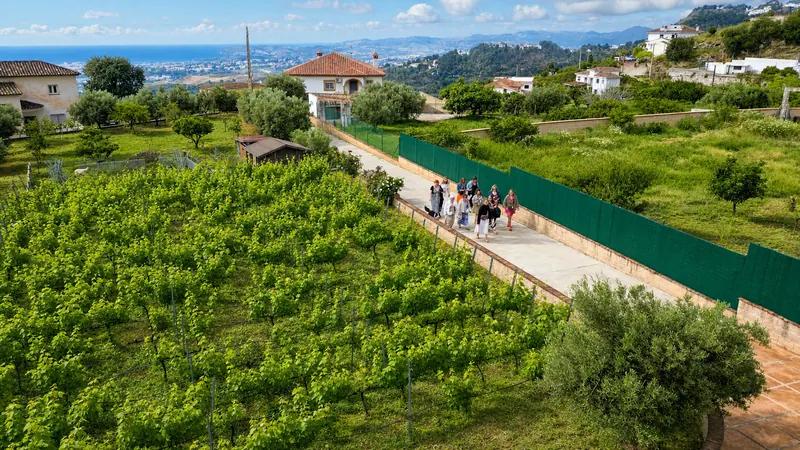 Guests walking through the vineyard above Málaga with the Mediterranean in the distance
