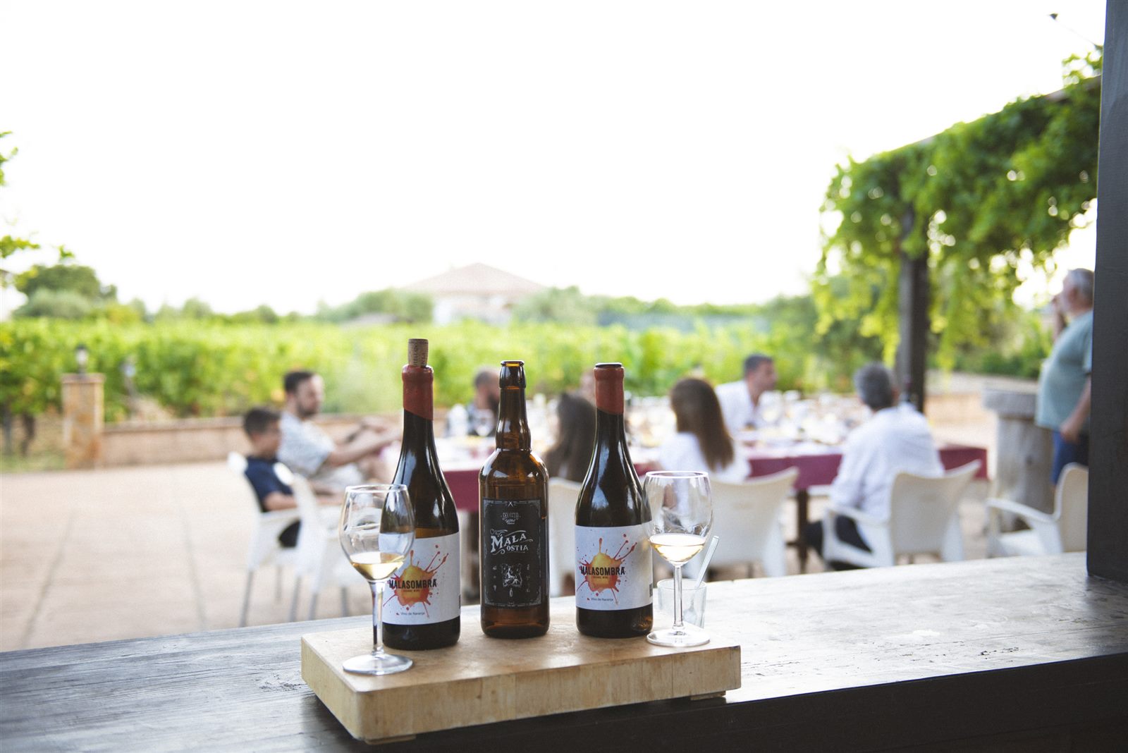 Antonio Mérida's wines served beside the vineyard