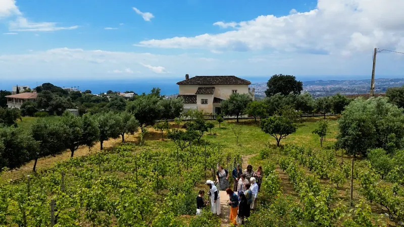 Private group walking among the vines above the Mediterranean during a vineyard tasting near Málaga