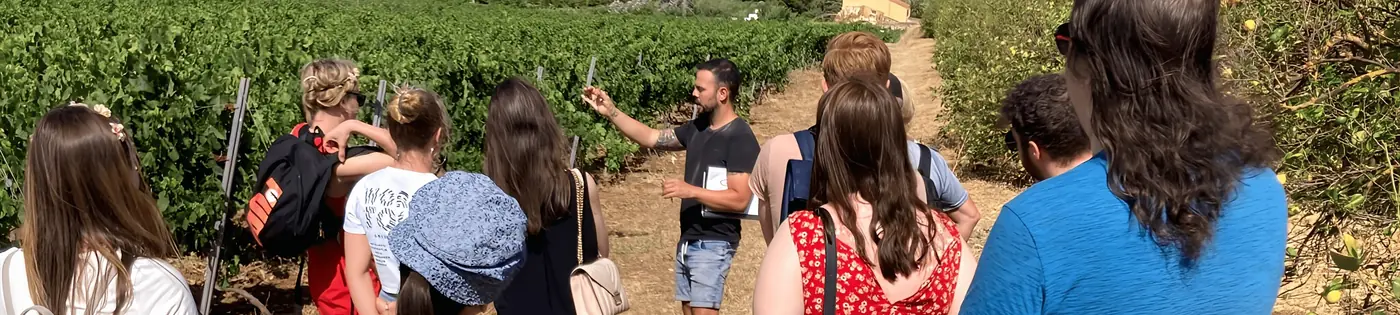 One of our early White Houses Tours groups walking through a vineyard in 2020.