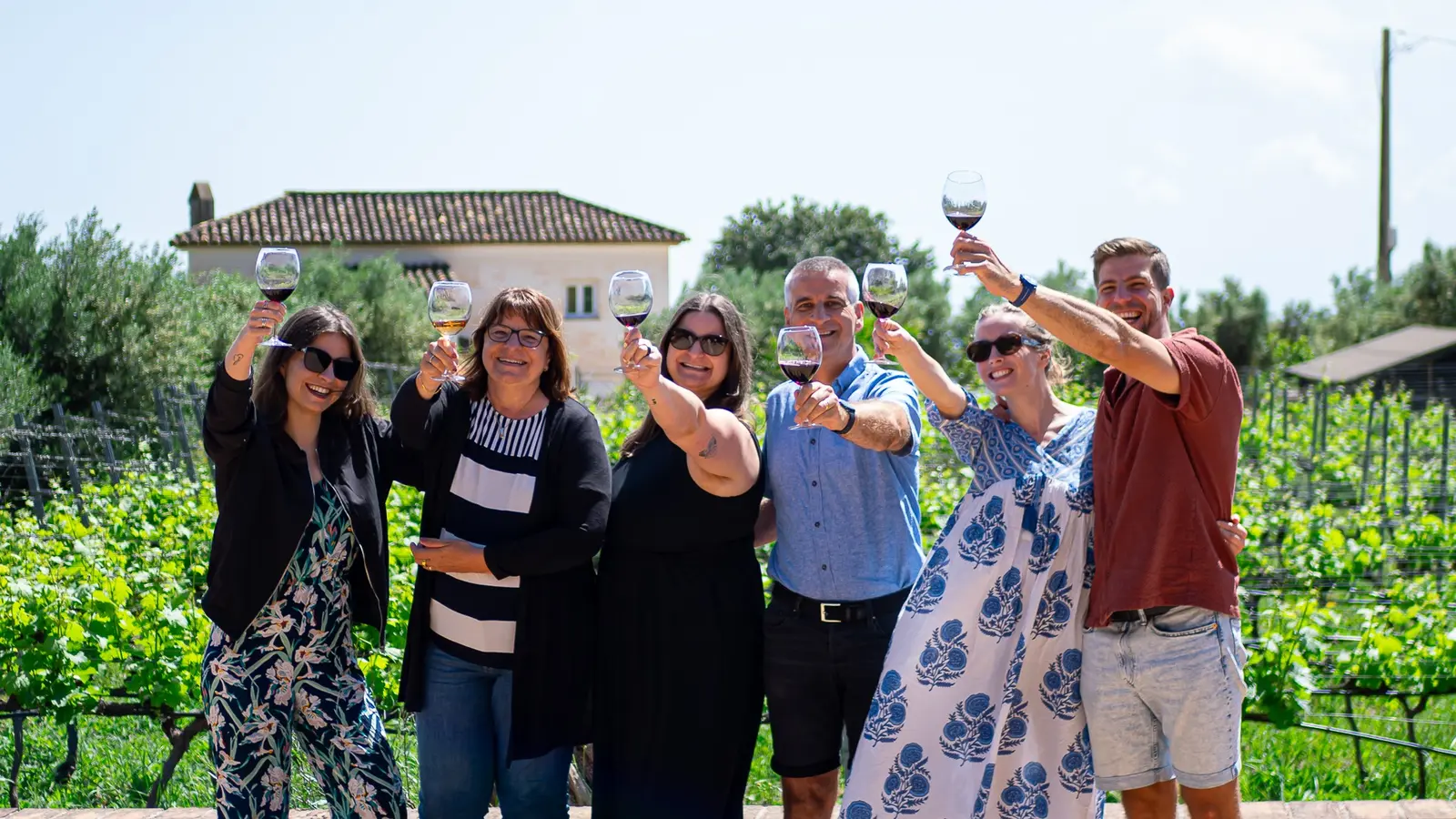 Guests and hosts raising their glasses together in a Málaga vineyard.