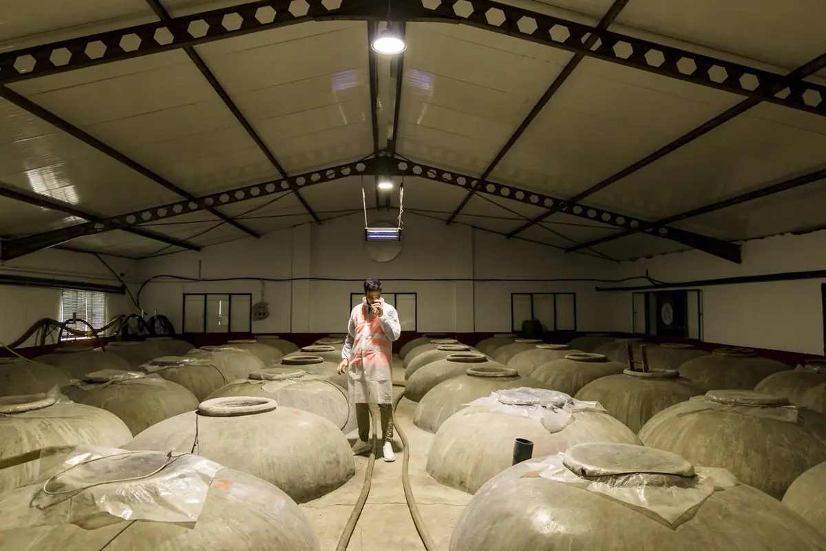 One of us tasting wine from concrete tanks at Cooperativa Virgen de la Oliva in Mollina.