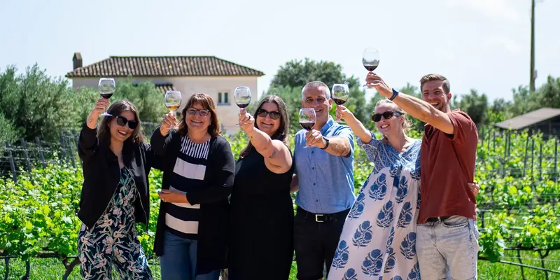 A private group raising their wine glasses together among the vines in Málaga.