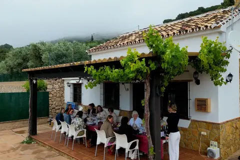 A private group gathered for a long table experience at a vineyard in Málaga.