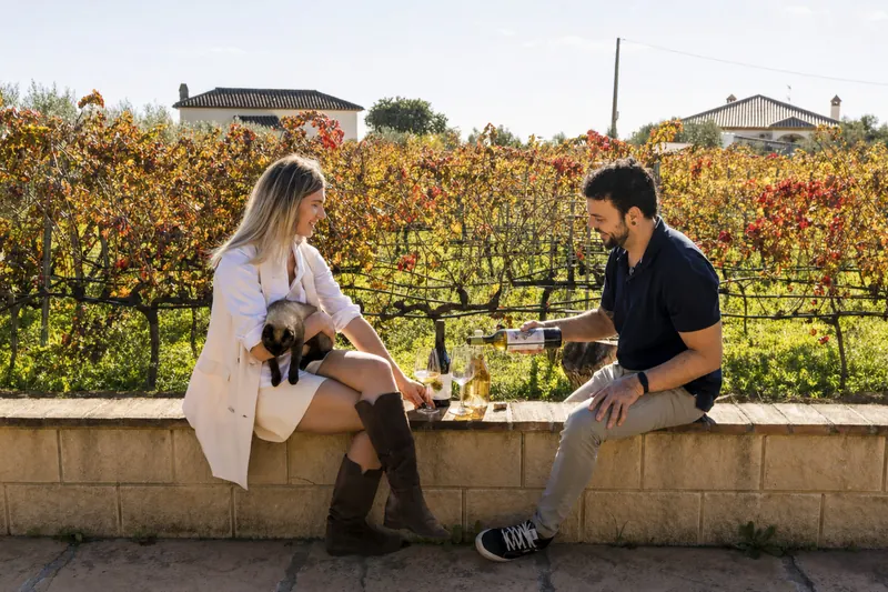 Private wine experience in the vineyard near Málaga