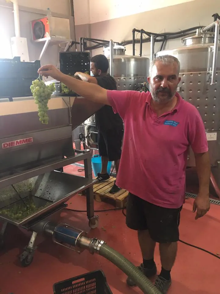 Antonio holding grapes in a local producer setting.