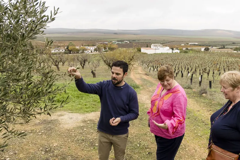 Organic fields and countryside producer setting in northern Malaga province.