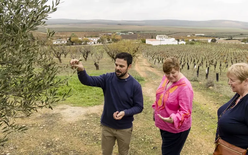 Guests exploring the organic fields on the Olive Oil and Wine Tour from Málaga.