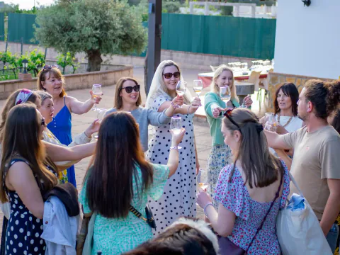 Friends enjoying a private vineyard event near Málaga.
