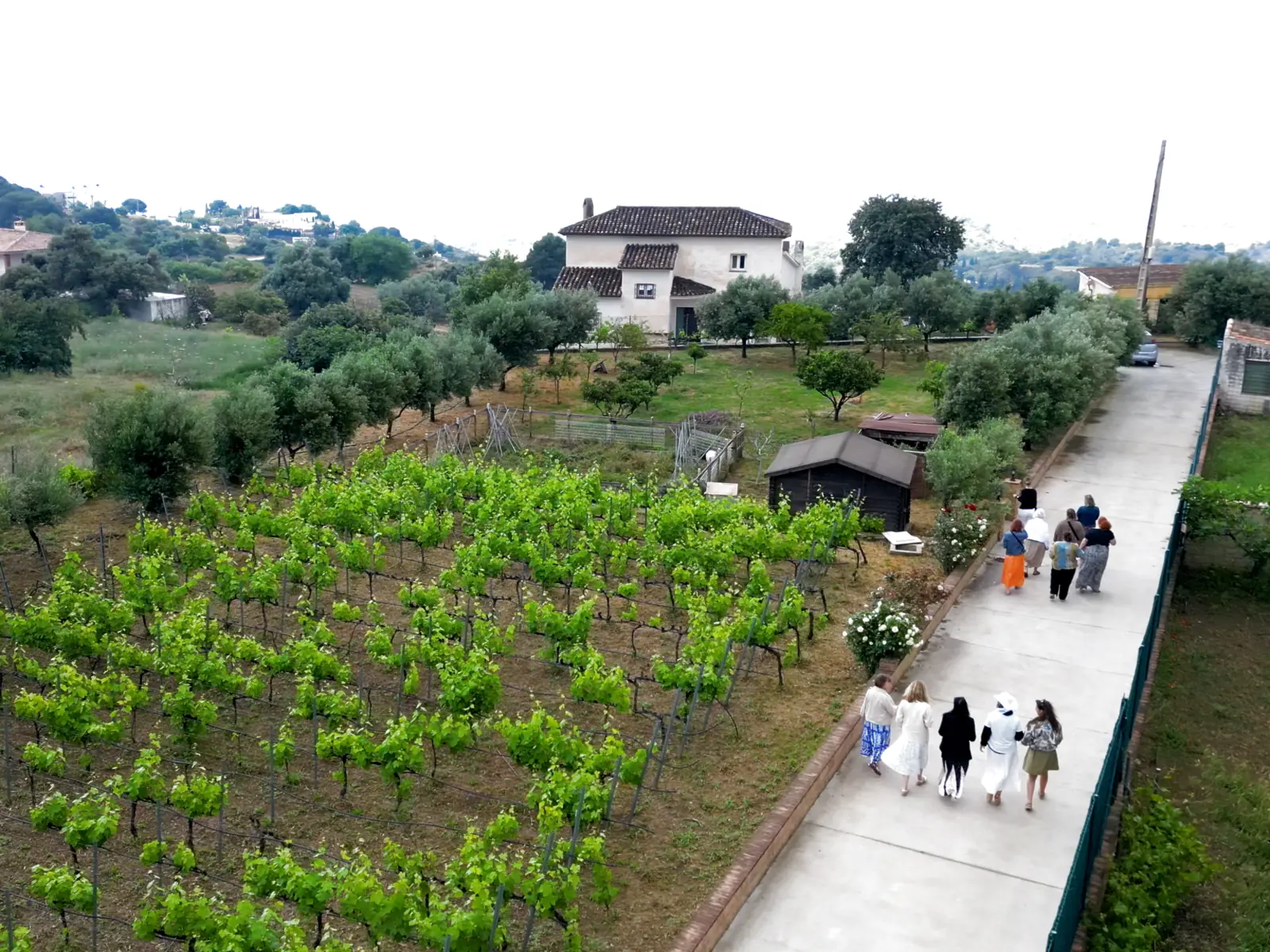 Aerial view of Antonio Mérida’s vineyard, country house and guests walking through the property in Mijas.