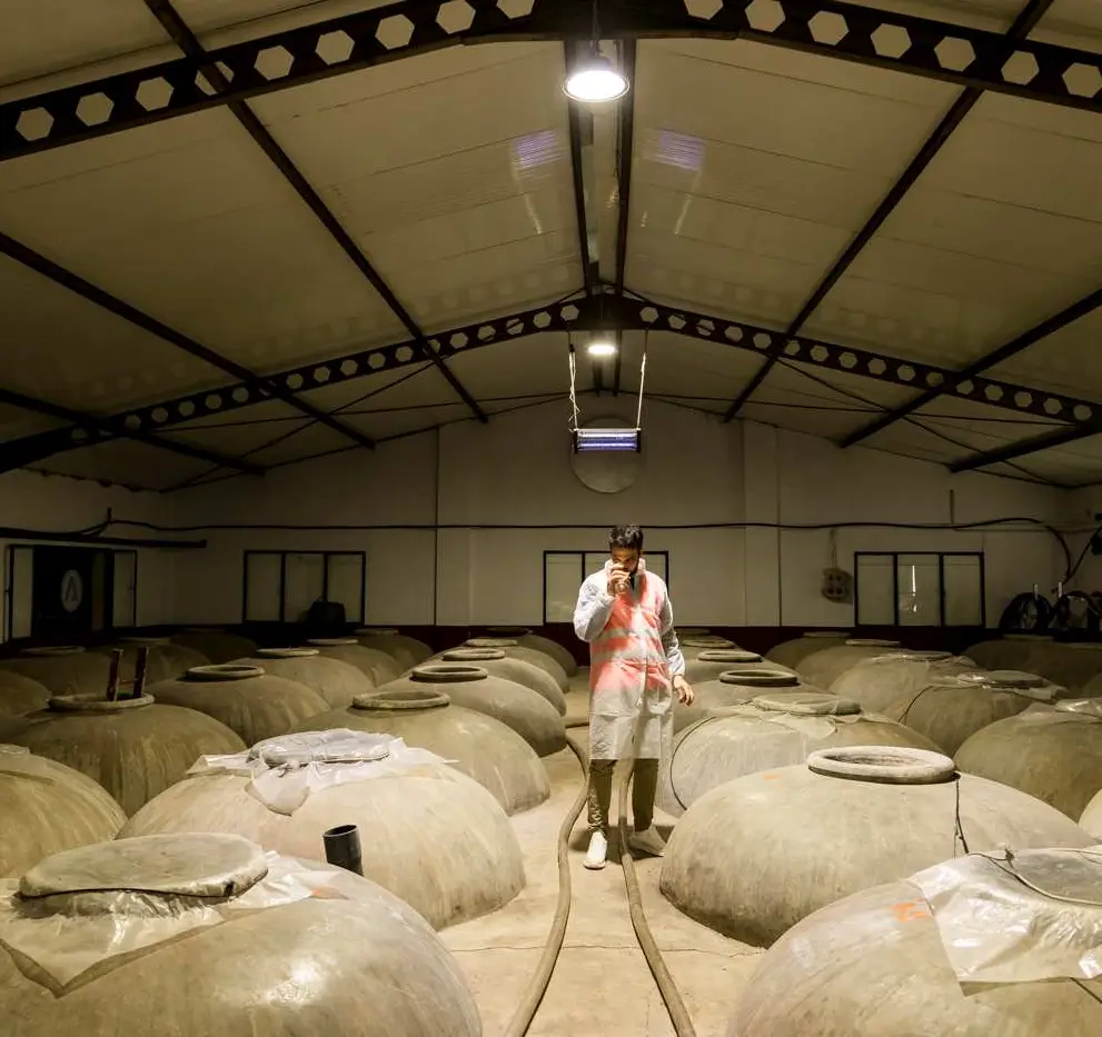 Traditional concrete storage tanks inside the cooperative production hall.