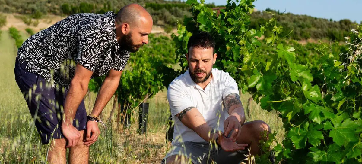 WHT guide sharing local vineyard context with a guest among the vines.
