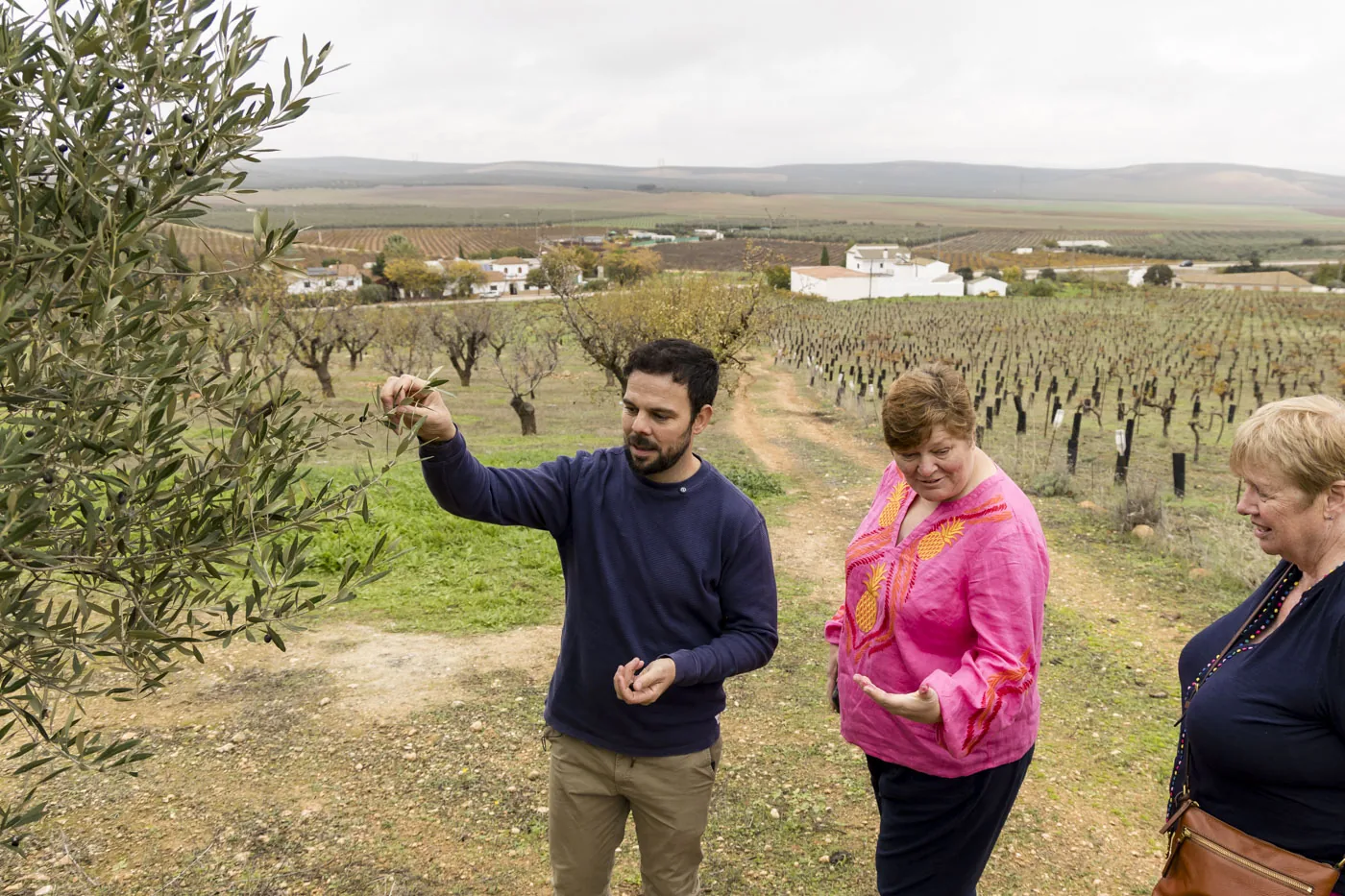 Organic fields and producer setting for wine and olive oil.