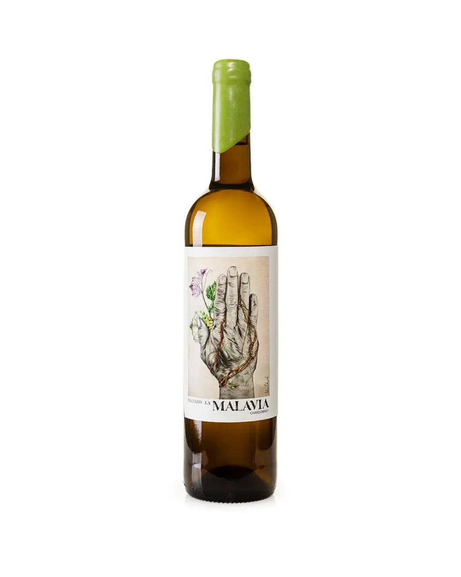 MALAVIA CHARDONNAY: THE PURITY OF THE COSTA DEL SOL