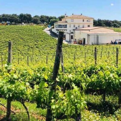 Wine tour Ronda