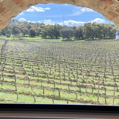 wine tour in Ronda