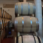 Tour de vino en Málaga