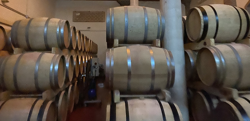 Tour de vino en Málaga