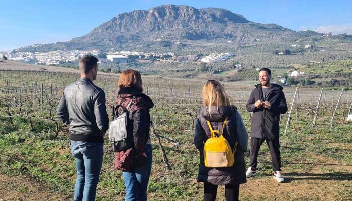 Viñedos en Málaga