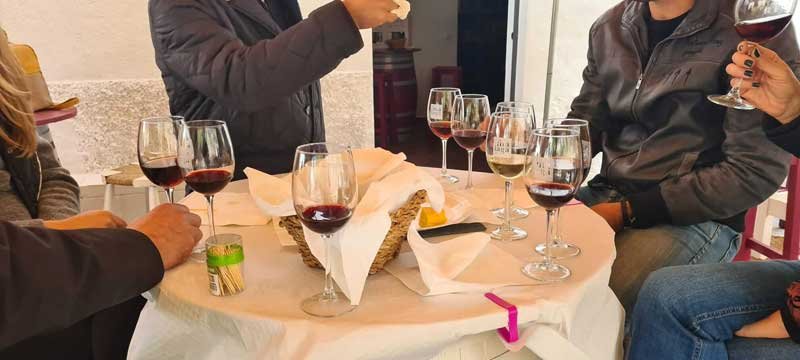 Cata de vino en Málaga