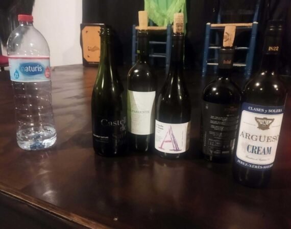 wine-tasting-in-malaga2