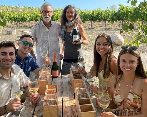 Group enjoying a private tour in Malaga, exploring picturesque vineyards and local wine culture