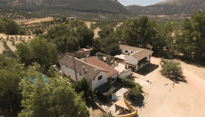 Aerial view of vineyards and a countryside house in Malaga, ideal for business tours and teambuilding activities