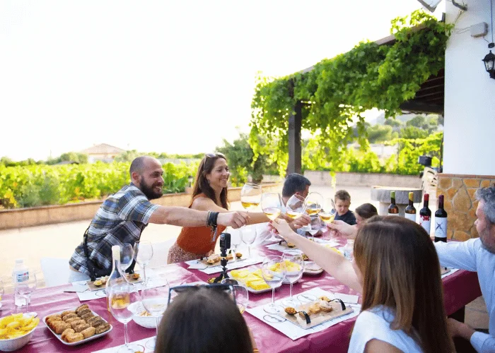 mijas-vineyard-wine-tasting-toast.webp