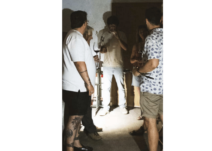 Group of visitors observing the vineyard and Málaga mountains while holding wine glasses