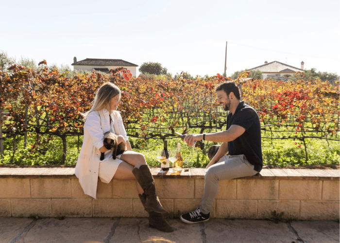 Couple enjoying a wine tasting outdoors in a vineyard near Malaga, with autumn-colored vines in the background.
