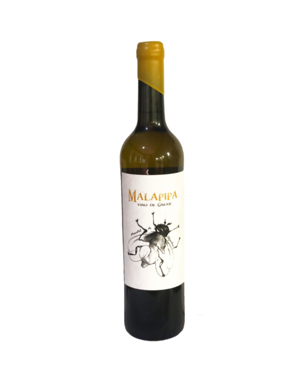 MALAPIPA: THE WILD FRESHNESS OF THE ANDALUSIAN MOUNTAINS