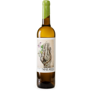 MALAVIA CHARDONNAY: THE PURITY OF THE COSTA DEL SOL