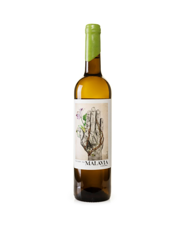 MALAVIA CHARDONNAY: THE PURITY OF THE COSTA DEL SOL