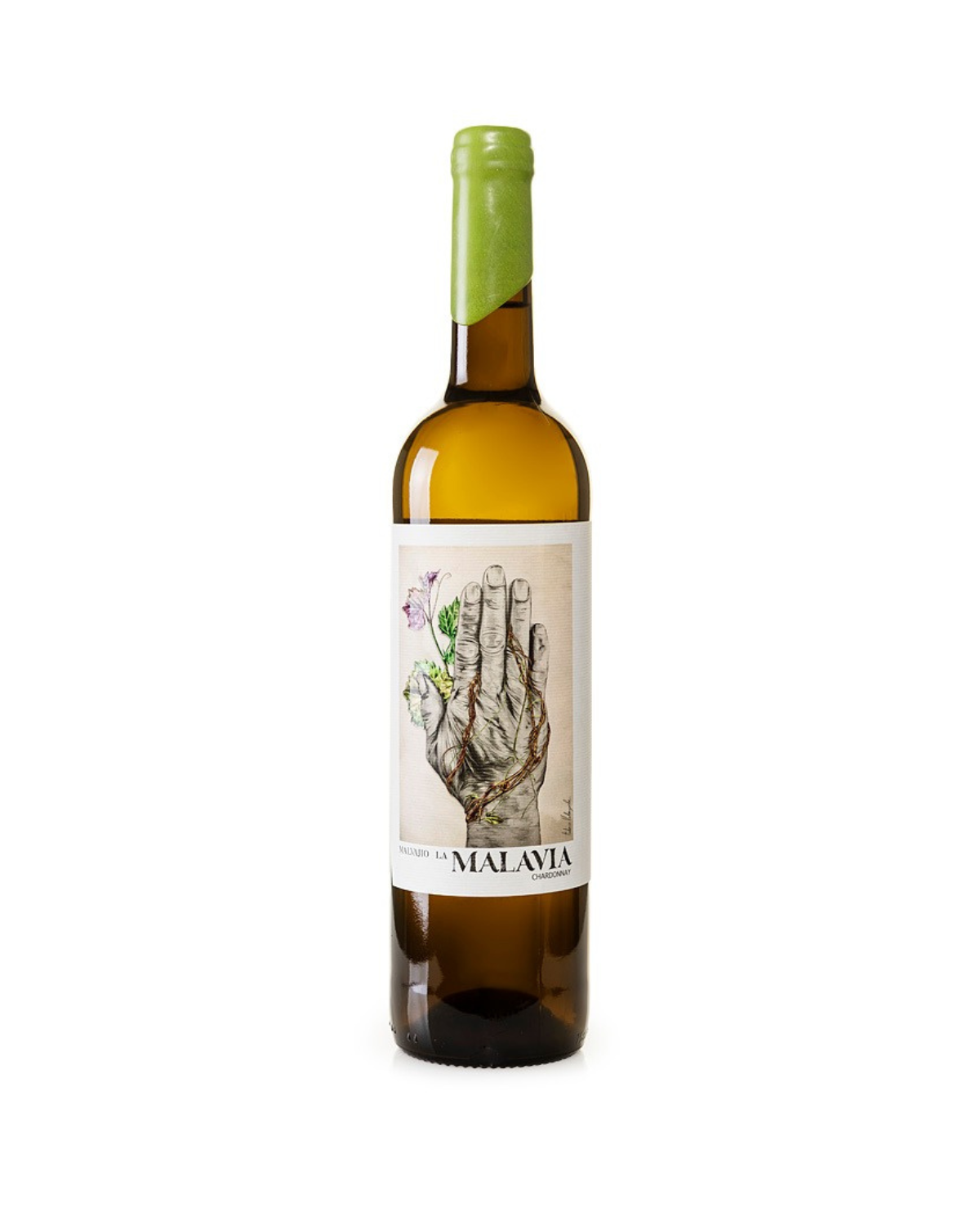 MALAVIA CHARDONNAY: THE PURITY OF THE COSTA DEL SOL